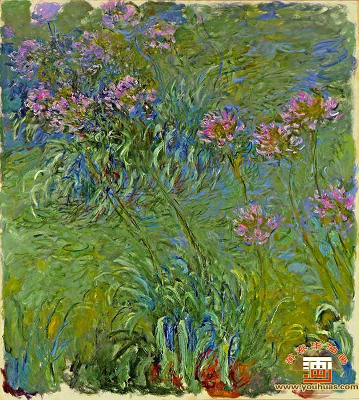 Agapanthus by Claude Monet_͵¡ĪͻƷ