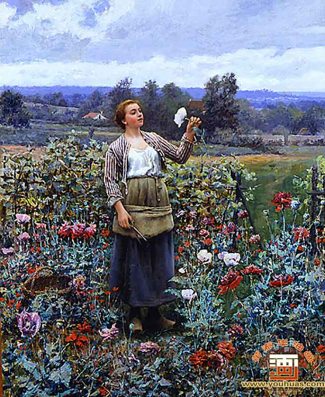 ժڻPicking Poppies_΢ʿͻƷ