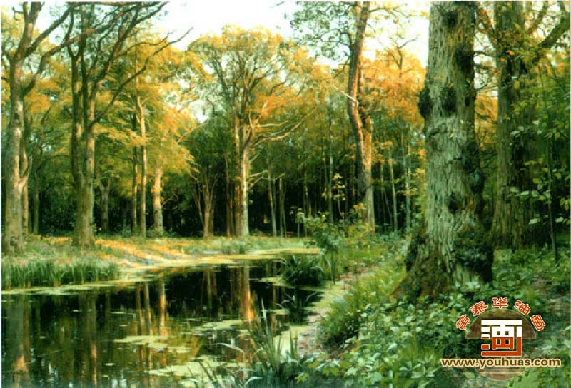 SL8007森林风景油画
